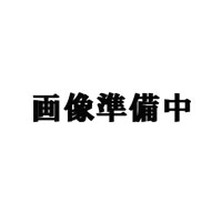 イグニッションコイル IC60